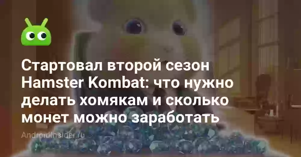 Стартовал второй сезон Hamster Kombat: что нужно делать хомякам и сколько монет можно заработать